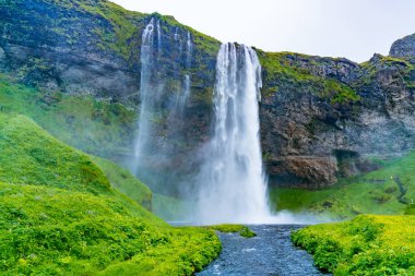 İzlanda'nın Güney bölgesi akan su ve sarı çiçek alan akışı ile Seljalandsfoss şelaleler ve görmek