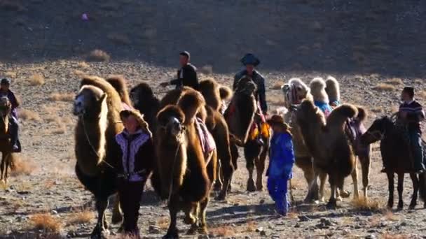 Ulgii Mongolia Outubro 2018 Cazaques Trouxeram Camelos Bactrianos Para Participar — Vídeo de Stock
