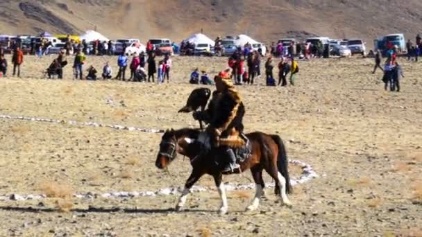 Ulgii Mongolia Ottobre 2018 Kazakh Eagle Hunter Nell Abbigliamento Tradizionale — Video Stock