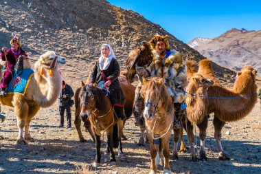 Ulgii, Moğolistan - 6 Ekim 2018: altın kartal Festivali. Geleneksel giysiler, tilki kürk sırtında ile el ve Asya develeri Ulgii, Moğolistan, kartal altın kartal avcısı