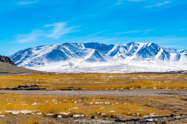 View Beautiful Snow Mountain Yellow Field Blue Sky Mongolia Summer — Stock Photo, Image