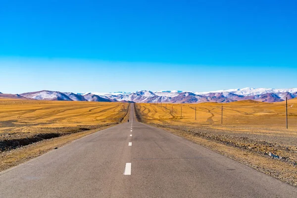 Güzel dağ ve yaz sezonu Ulgii, Moğolistan'da bozkır sarı olan kırsal asfalt yol