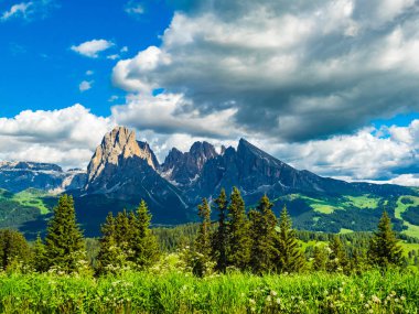 Dolomites alp Yaylası Seiser Alm İtalya, Langkofel Grubu'nun görünümü