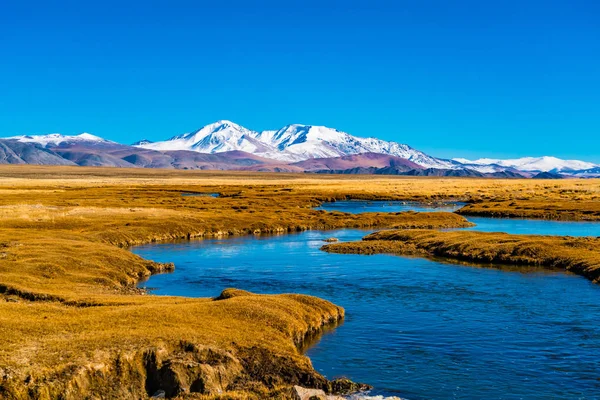 Natural View Beautiful Mongolian Snow Mountain Large Yellow Steppe Stream — Stock Photo, Image