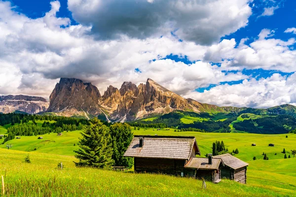 Seiser Alm yeşil alp Yaylası ve South Tyrol, İtalya için Dolomites Langkofel grup güzel manzaraya