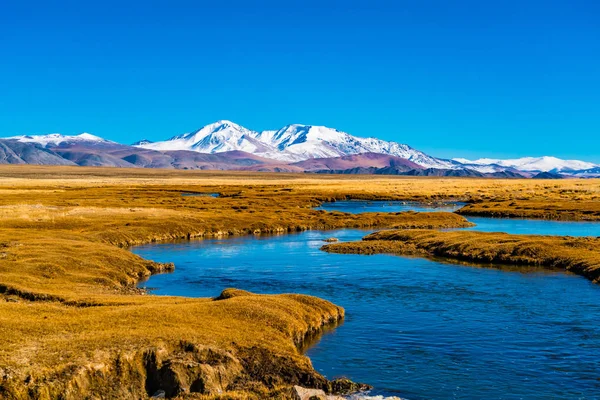 Naturblick Auf Den Wunderschönen Mongolischen Schneeberg Mit Der Großen Gelben Stockbild