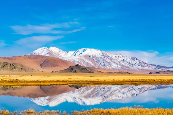 Bela Paisagem Ulgii Oeste Mongólia Com Rio Grande Estepe Amarela — Fotografia de Stock