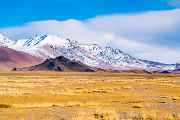 Vista Bela Montanha Grande Estepe Amarela Dia Ensolarado Ulgii Oeste — Fotografia de Stock