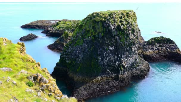 Vista Aves Marinas Volando Formación Rocas Basálticas Costa Arnarstapi Village — Vídeo de stock