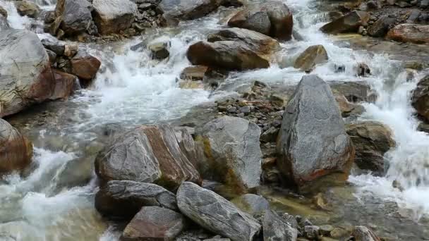 Stroom Van Stromend Water Weg Naar Vallei Van Bloemen Ghangaria — Stockvideo