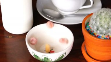 Froot Loops ahşap bir masa üzerinde beyaz bir kase için kahvaltı için dökme