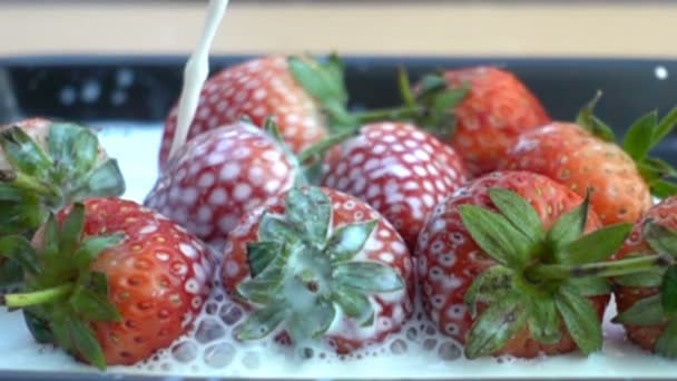 Erdbeeren Schwarzer Teller Zeitlupe Mit Frischer Milch Übergießen — Stockvideo