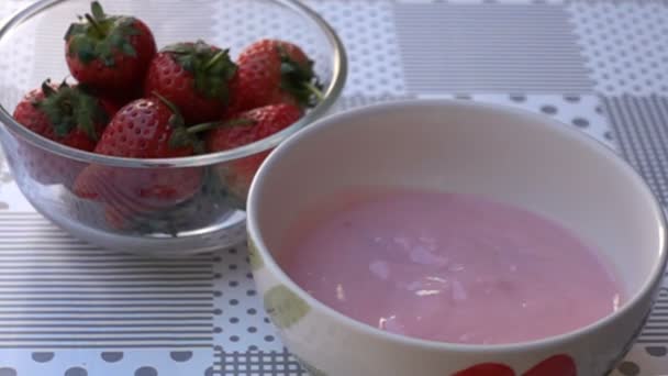 Single Strawberry Falling Bowl Yogurt Slow Motion — Stock Video