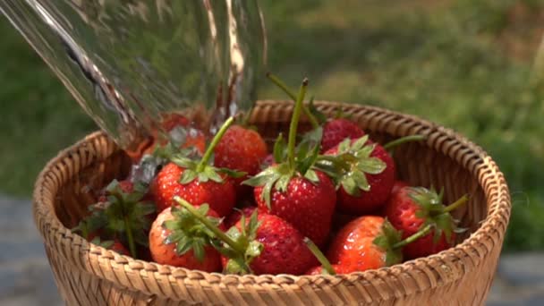 Gießen Sie Wasser Den Bambuskorb Voller Erdbeeren Zeitlupe — Stockvideo