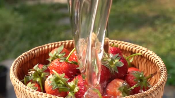 Wash Strawberries Bamboo Basket Fresh Water Slow Motion — Stock Video