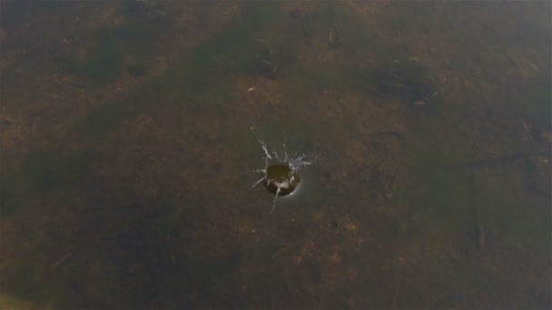 慢动作中水面上的小鹅卵石落差 — 图库视频影像