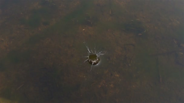 Pequeña Gota Guijarros Superficie Del Agua Cámara Lenta — Vídeo de stock