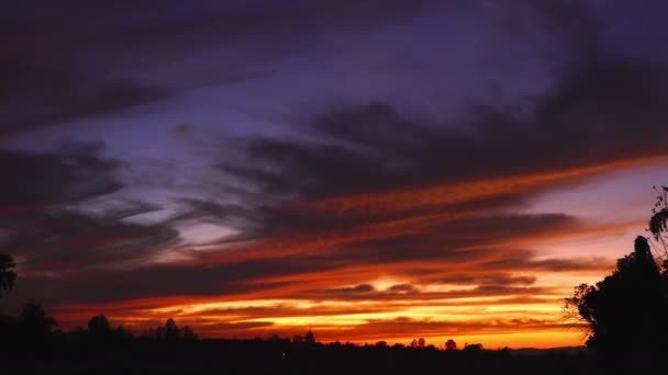 Schöner Abendhimmel Über Dem Reisfeld Thailand — Stockvideo