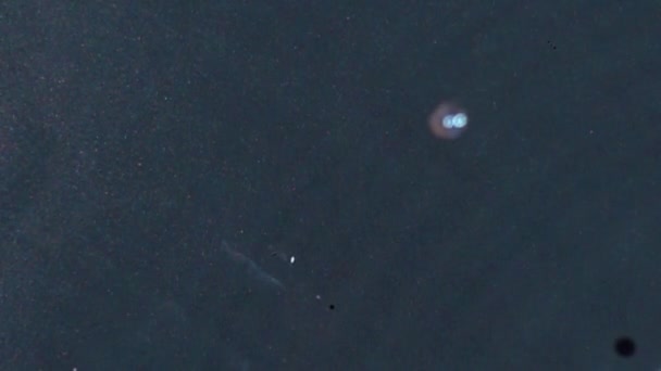 慢动作中水面上的水滴的顶视图 — 图库视频影像