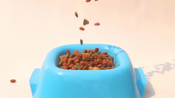 Despeje Comida Seca Para Cães Tigela Plástico Azul Fundo Branco — Vídeo de Stock