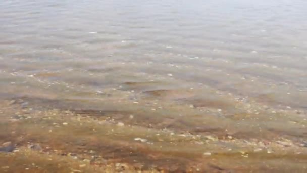 Волны Морской Воды Пляже Паттайя Таиланде — стоковое видео