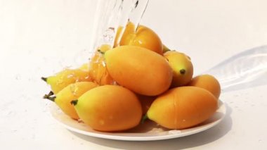 Yavaş hareket taze su ile beyaz plakalı beyaz plaka içinde Marian Erik yıkama