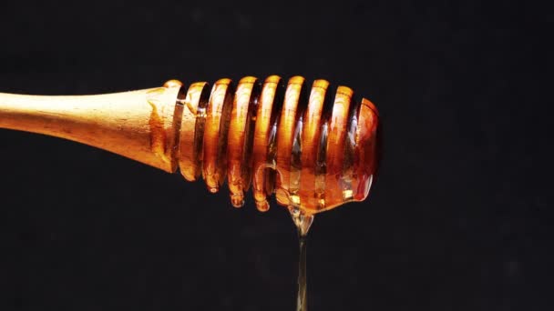 Honing Druppel Van Honing Dompeler Stick Donkere Achtergrond — Stockvideo