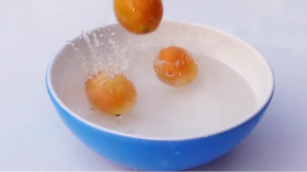 Drop Marian Plum Blue Bowl Water Slow Motion — Stock Video