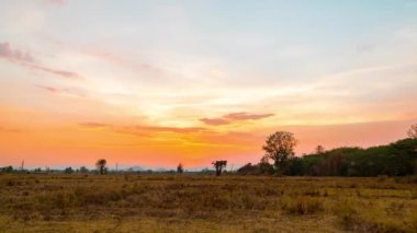 Gün batımında gökyüzündeki ışık, çeltik tarlası Time Lapse'nin üzerinde