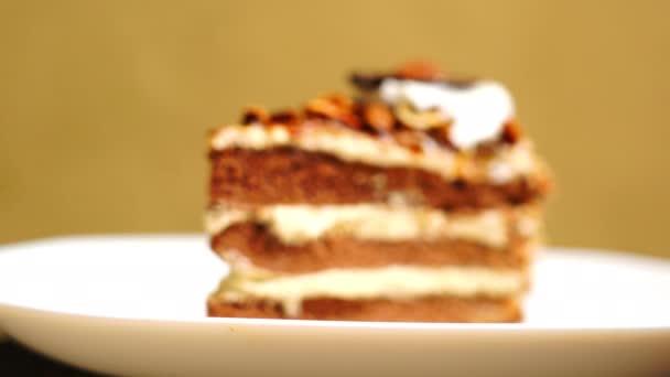 白い皿の上の層のチョコレートケーキの部分で焦点を調整する — ストック動画