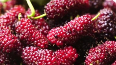 Tahta tahta üzerinde hareket eden yaprak ile olgun dut yığını