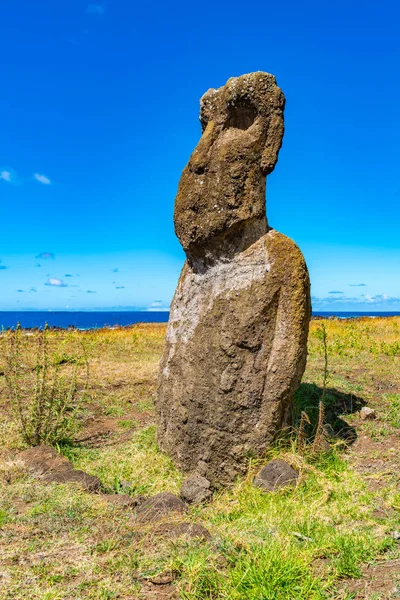 Moai στο εθνικό πάρκο ράμπα Νούι στο νησί του Πάσχα — Φωτογραφία Αρχείου