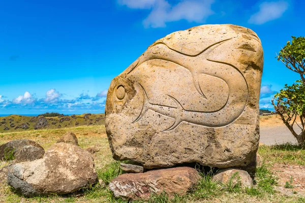 Petroglyph na wyspie Wielkanocnej lub Rapa Nui — Zdjęcie stockowe