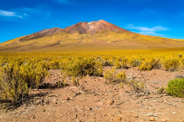 Vulkanlandschaft bei Uyunu in Bolivien — Stockfoto