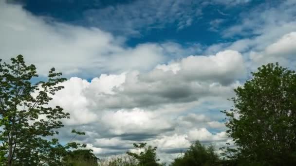 Moln Som Rör Sig Himlen Över Gröna Träden Regn Perioden — Stockvideo