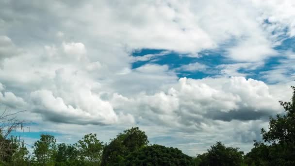 White Clouds Moving Blue Sky Trees Forest Thailand Time Lapse — Stock Video