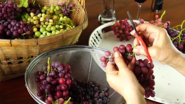 Przycinanie Kilka Dojrzałych Bez Nasion Winogron Przed Zapakowaniem Sprzedaż — Wideo stockowe