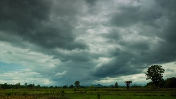 Regenwolken Die Sich Himmel Über Dem Reisfeld Ländlichen Thailand Bewegen — Stockvideo