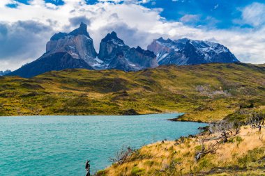 Cuernos del Paine dağı ile güzel dağ manzarası