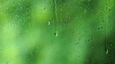 Cam pencerenin dışındaki yağmur damlacıklarına yakın çekim. Yeşil arkaplanda akan yağmur damlaları.