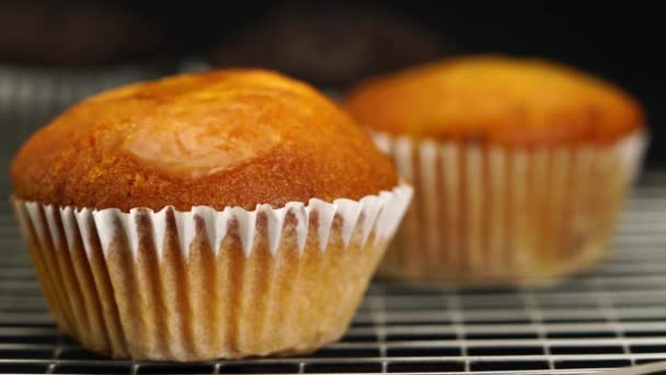 Långsamt Rör Sig Vid Nybakade Muffins Metallsikt Mörk Bakgrund — Stockvideo