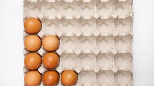 Fila Huevos Pollo Marrón Moviéndose Dentro Fuera Del Cartón Huevo — Vídeos de Stock