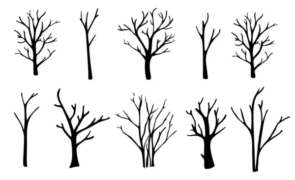 Naked Trees Silhouettes Set Hand Drawn Isolated Illustrations — Stock Vector