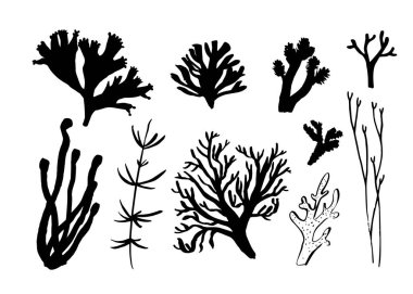Deniz yosunu, mercan ve yosun seti. Sualtı faunasının farklı siluetleri. Siyah el çizilmiş vektör illüstrasyonu.