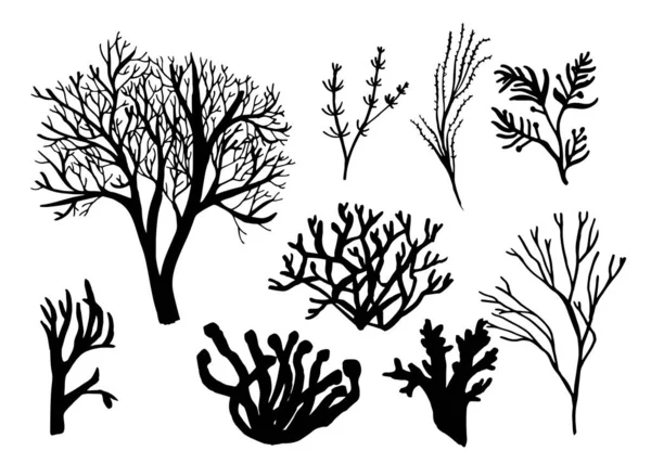 Seaweed Coral Algae Set Different Silhouettes Underwater Fauna Black Hand — Stock Vector