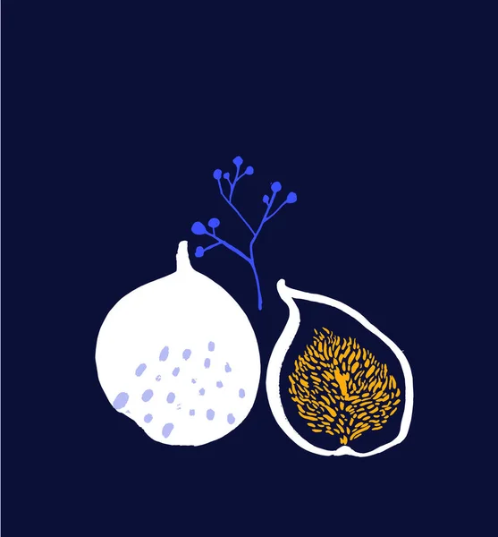 Figs Fruit Dark Blue Background — Stock Vector