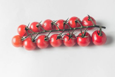 taze domates beyaz bir arka plan üzerinde kiraz 