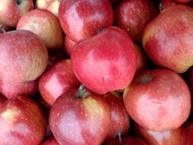 Sulu ve taze güzel elma