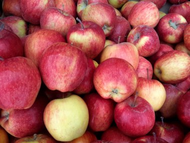 Sulu ve taze güzel elma