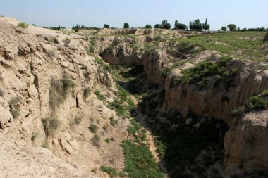 Akhsikent, Özbekistan 'ın Namangan bölgesinin Turakurgan ilçesindeki Şehand köyü yakınlarında bulunan antik yerleşim yeridir. 
